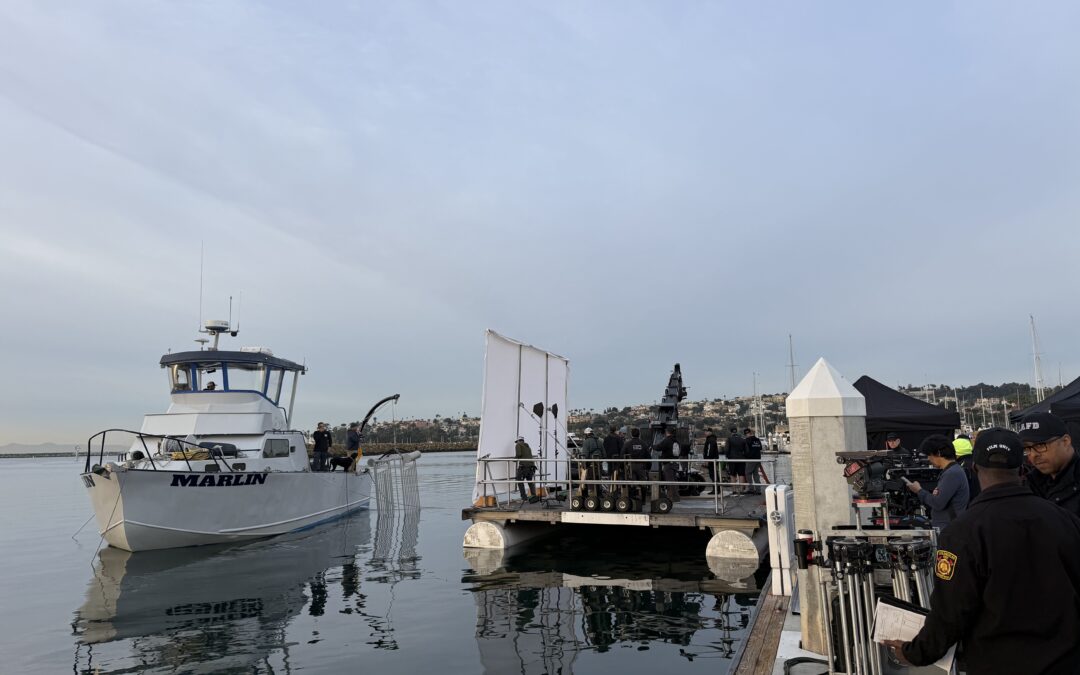 Shark Cage Rigging Los Angeles: Southwest Commercial